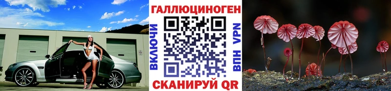 Псилоцибиновые грибы прущие грибы  Купить  Полевской 